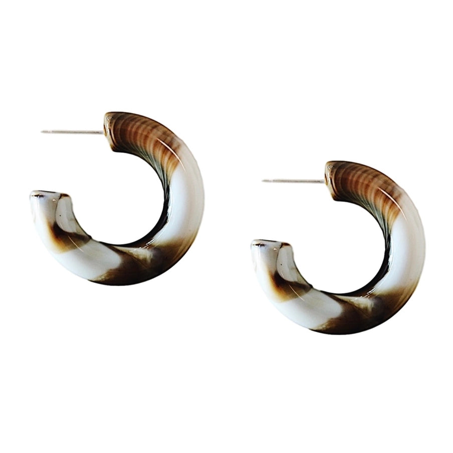 Chunky Lucite Hoop Earring